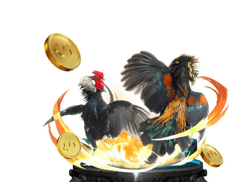 Người chơi nghiên cứu chiến lược casino 6ff